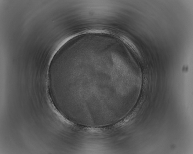 X0000090760852200708031628