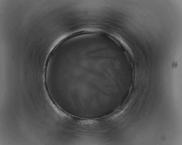 X0000090760853200708031628