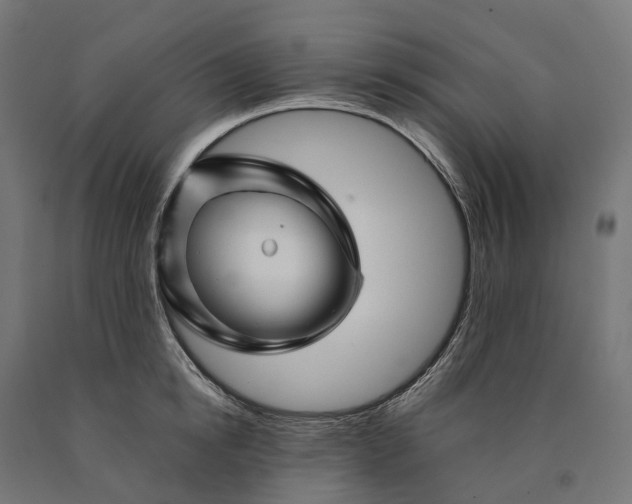 X0000090760854200708031628