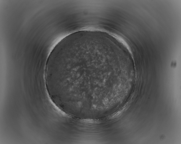 X0000090760855200708031628