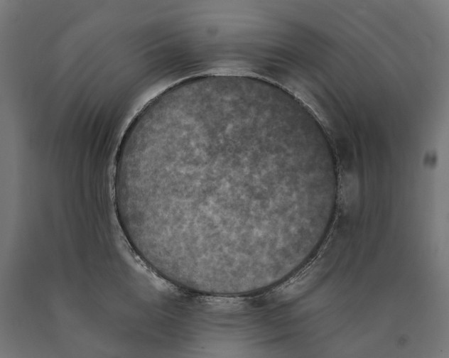 X0000090760856200708031628