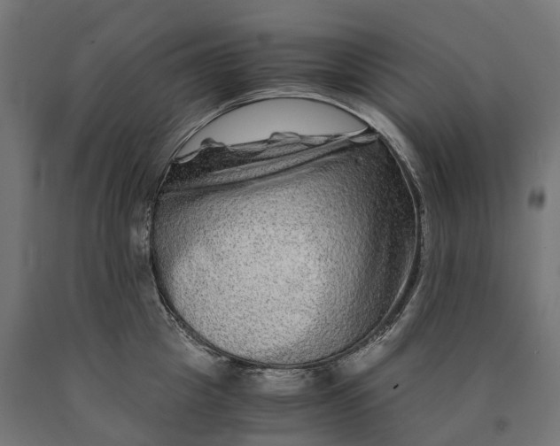 X0000090760857200708031628