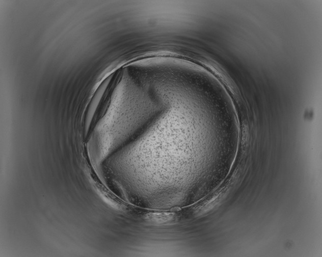 X0000090760858200708031628