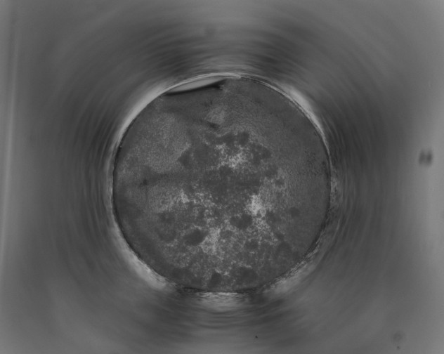 X0000090760859200708031628