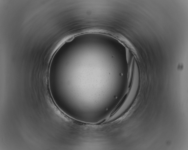 X0000090760860200708031629