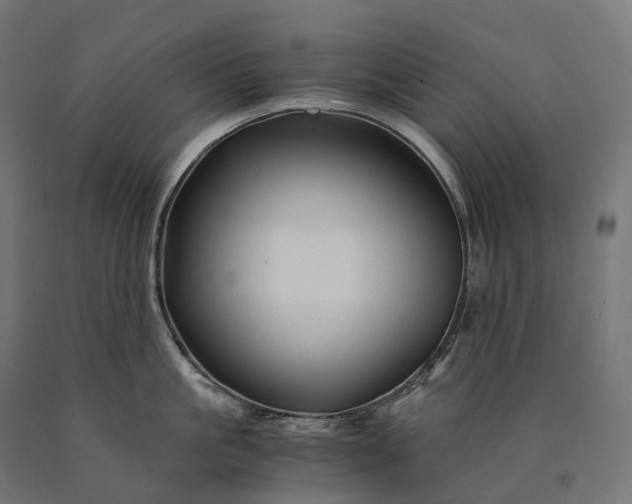 X0000090760861200708031629