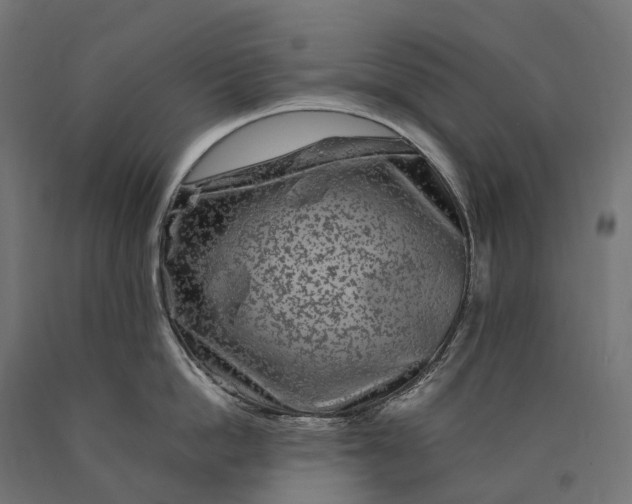 X0000090760862200708031629