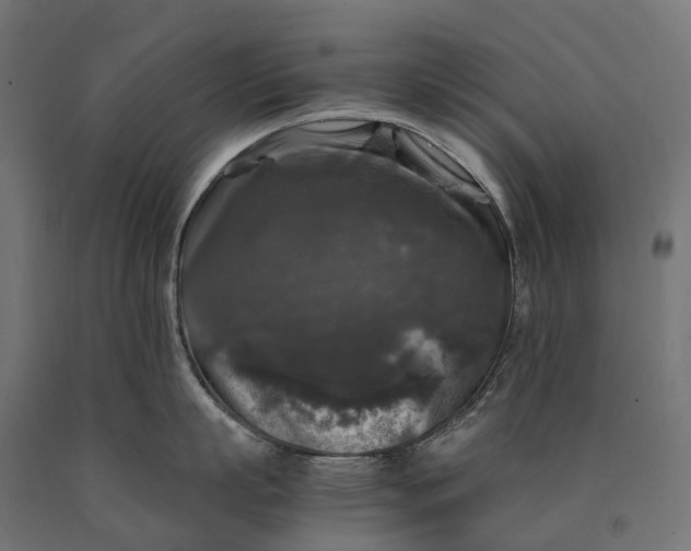 X0000090760863200708031629