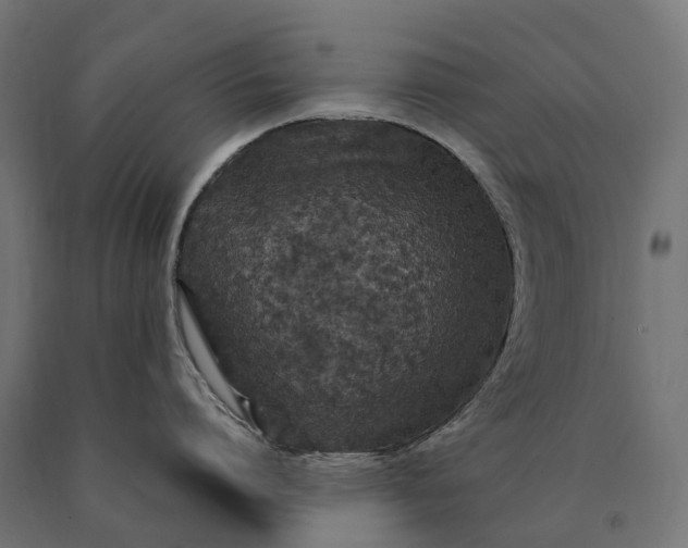 X0000090760864200708031629