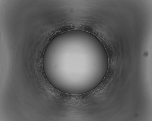 X0000090760865200708031628