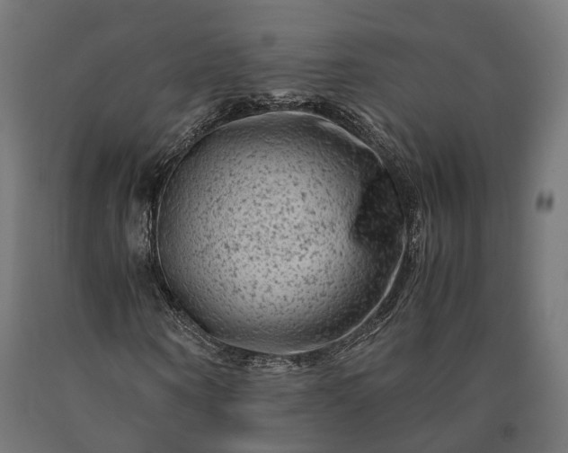 X0000090760866200708031628