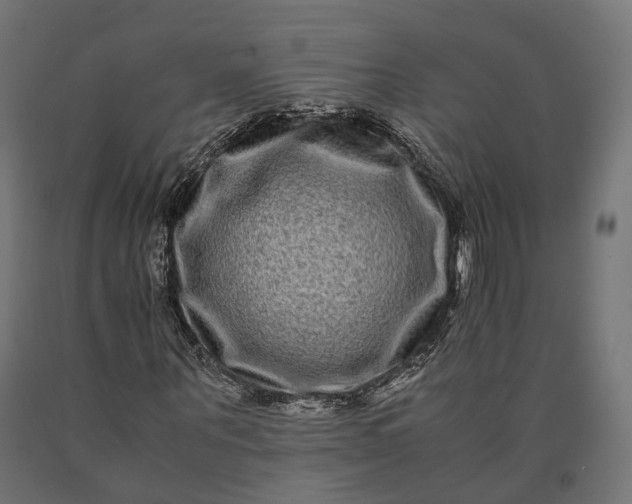 X0000090760867200708031628