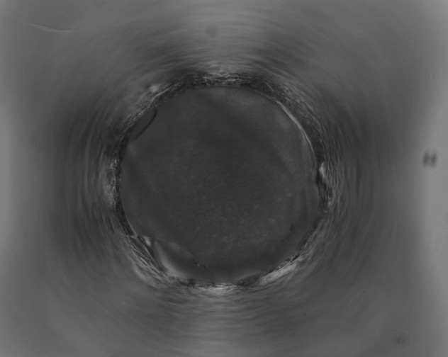 X0000090760868200708031628