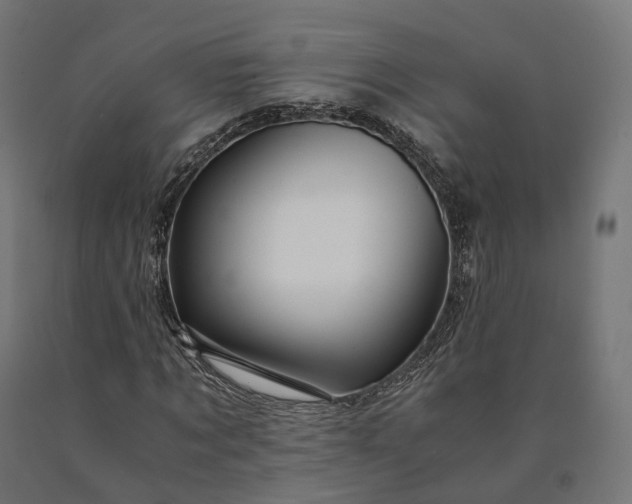 X0000090760869200708031628