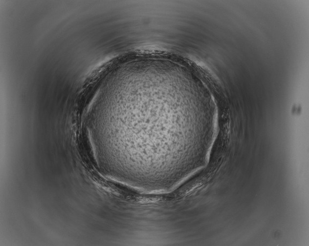 X0000090760870200708031628