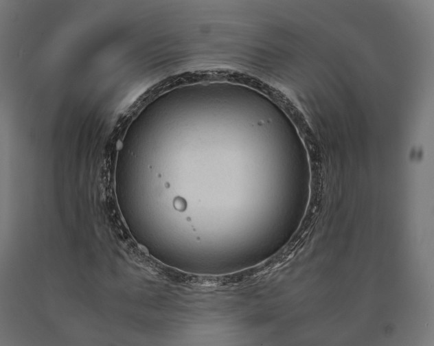 X0000090760871200708031628