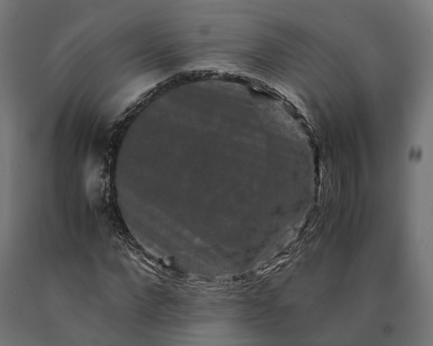 X0000090760872200708031628