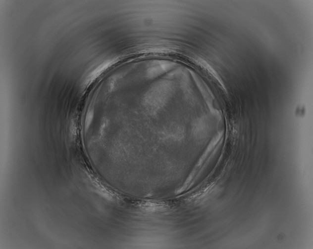 X0000090760874200708031628