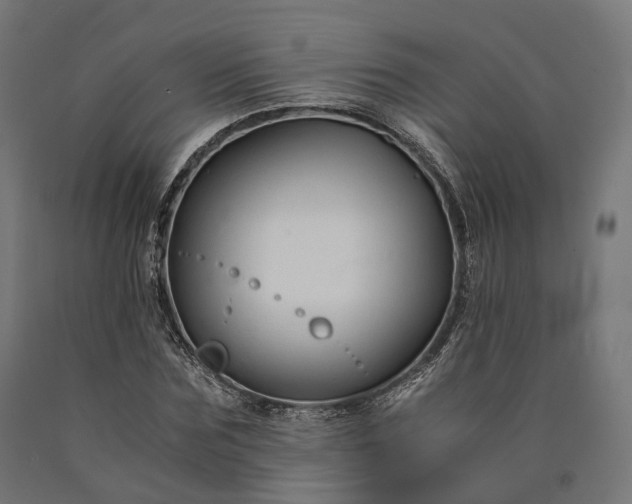 X0000090760875200708031628