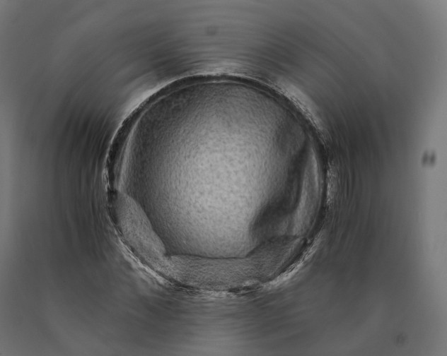 X0000090760876200708031628