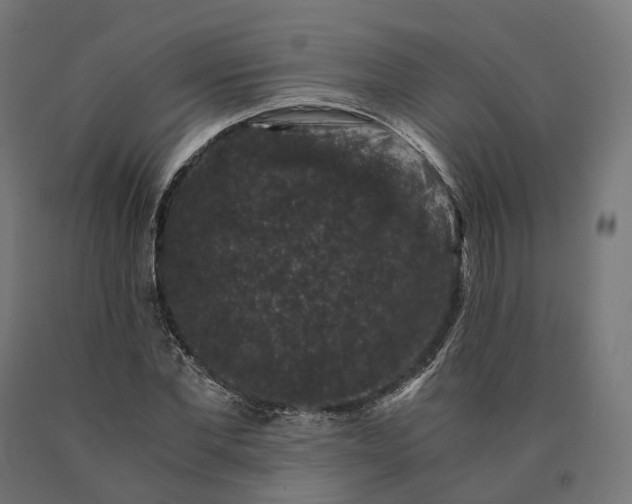 X0000090760877200708031628