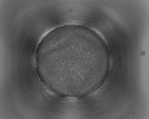 X0000090760878200708031628