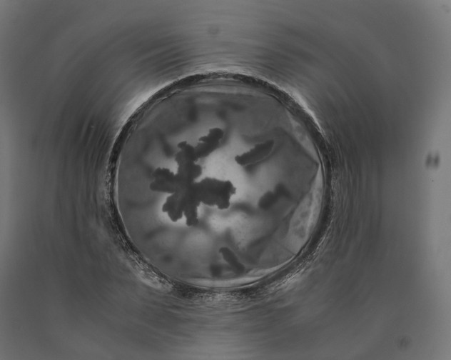 X0000090760879200708031628