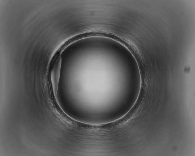 X0000090760880200708031628