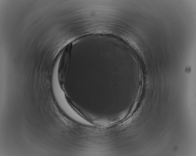 X0000090760881200708031628