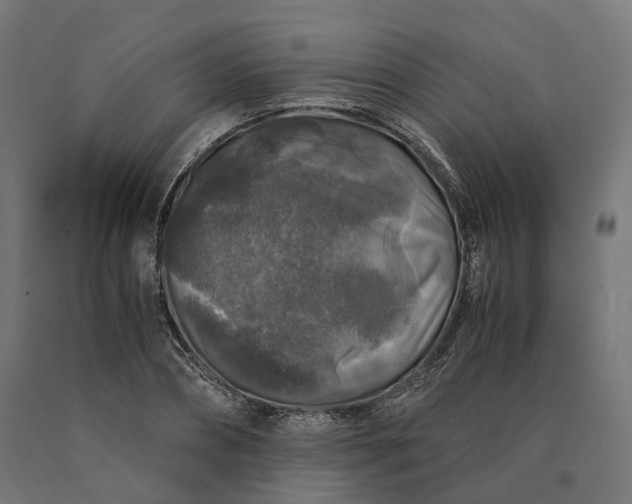 X0000090760882200708031628