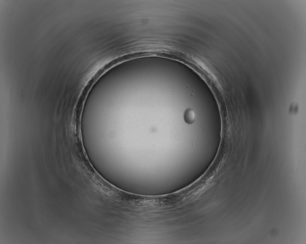 X0000090760883200708031628