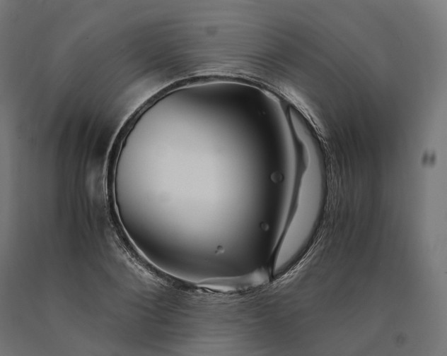 X0000090760884200708031628