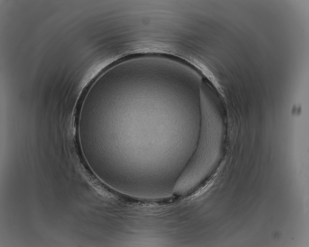 X0000090760885200708031628