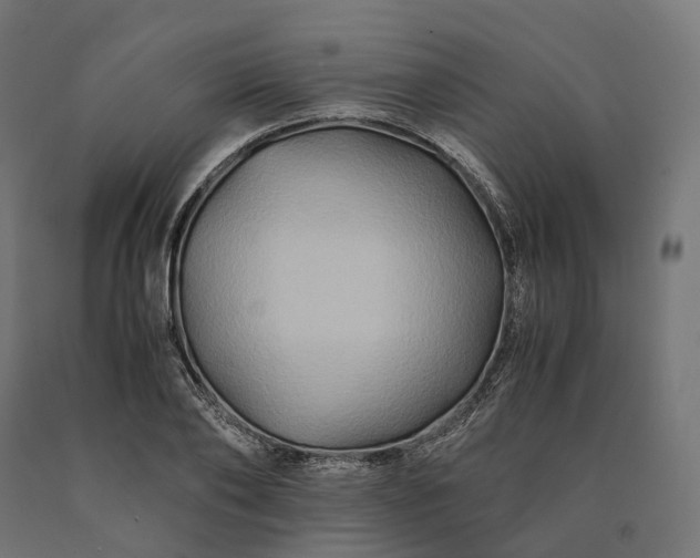 X0000090760886200708031628