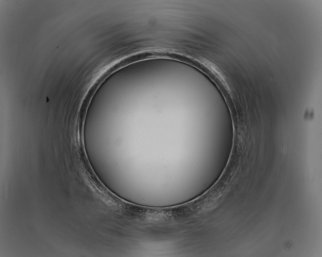 X0000090760887200708031628