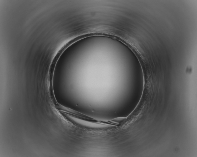 X0000090760888200708031628