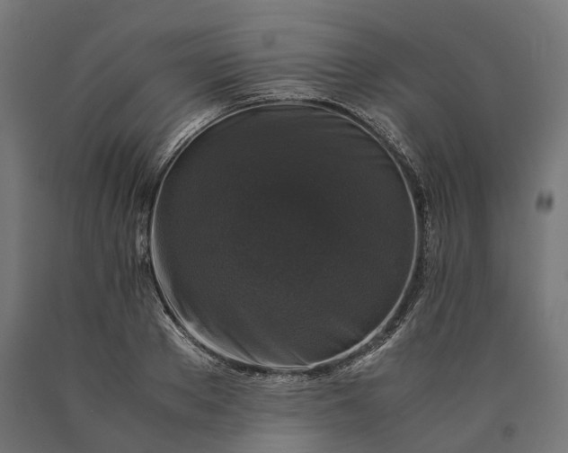 X0000090760889200708031628