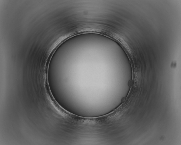 X0000090760890200708031628