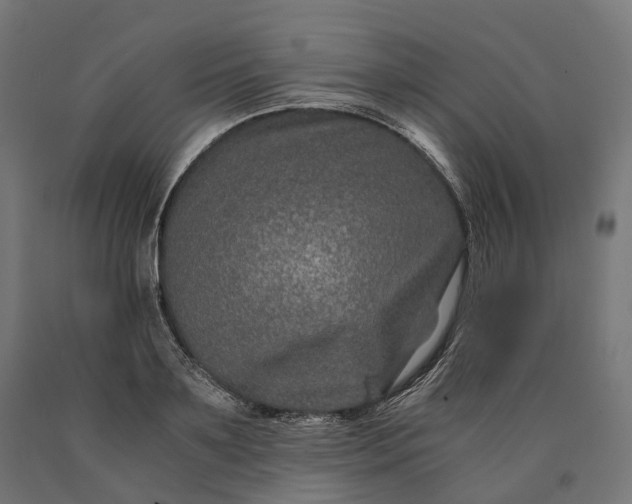 X0000090760891200708031628