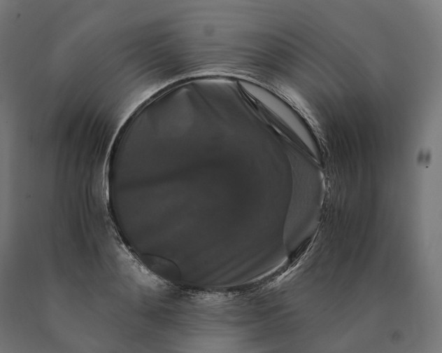 X0000090760892200708031628