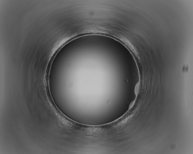 X0000090760893200708031628