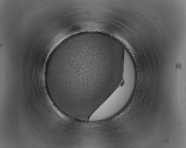 X0000090760894200708031627