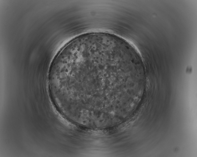 X0000090760895200708031627