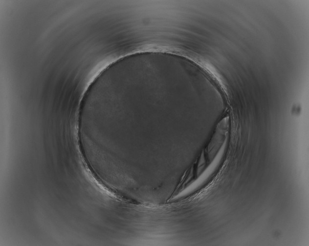 X0000090760896200708031627