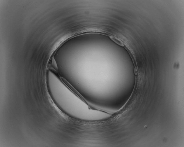 X0000090760898200708031627