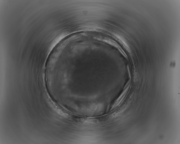 X0000090760899200708031627