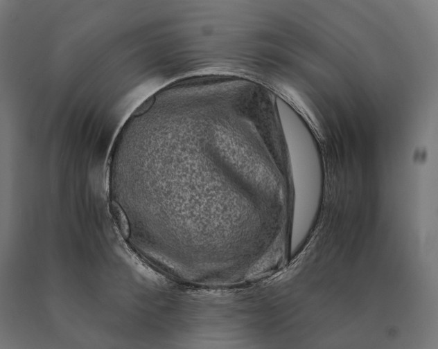 X0000090760900200708031627