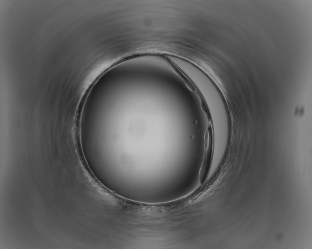 X0000090760901200708031627