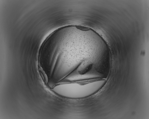 X0000090760904200708031627