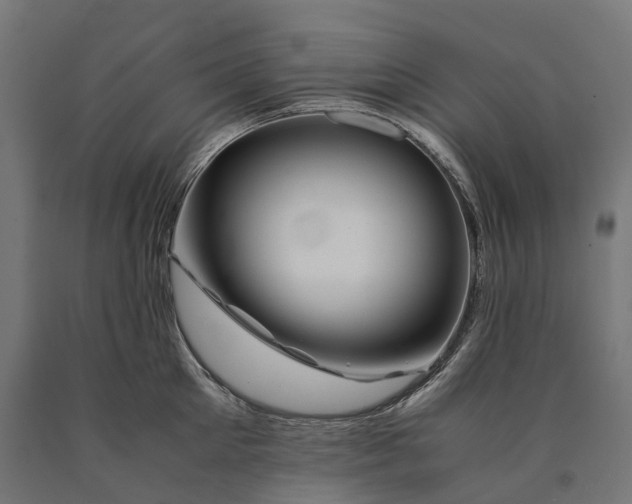 X0000090760905200708031627